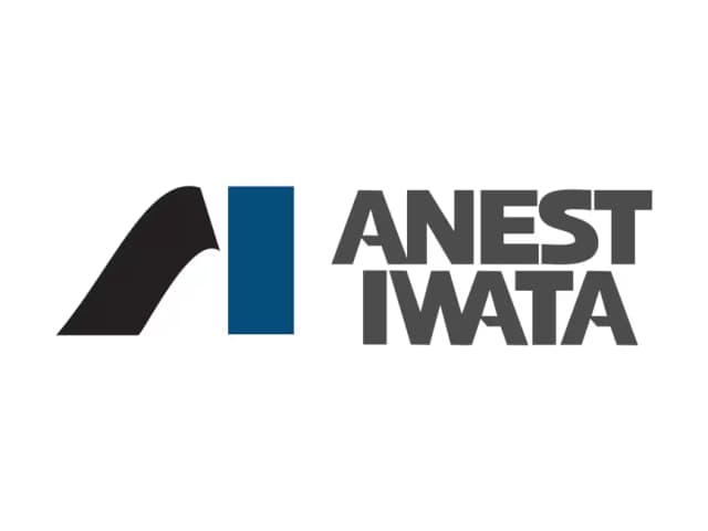 anest-iwata